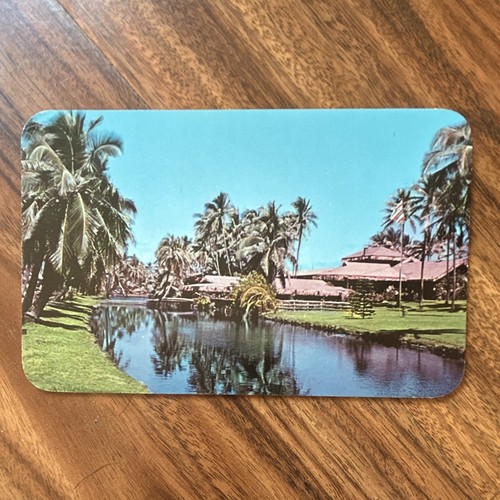 Vintage postcard coco palms - coco,