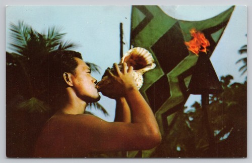Postcard kauai hawaii - postcard, coco