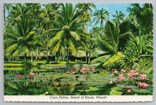 Vintage photochrome postcard - vintage,
